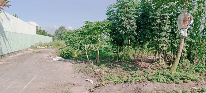Đất thổ cư ,đường bê tông xe hơi 32x60m đã san lấp cao ráo, 