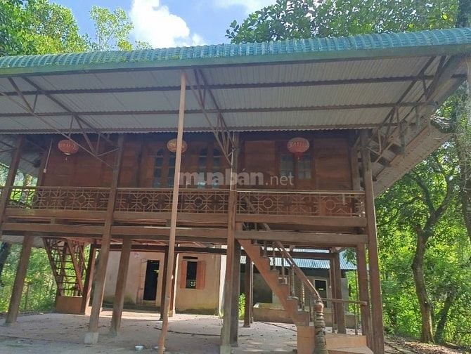 Chính chủ cần bán mảnh đất tại tổ 13 phường Thái Bình, TP Hòa Bình