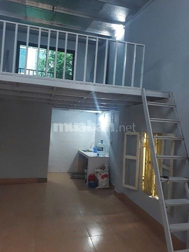 Thuê nhà ở kết hợp Văn phòng nhỏ