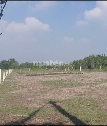 Bán đất Phạm Thái Bường, Xã Phước Khánh, Nhơn Trạch, Đồng Nai, 6,5 tỷ,