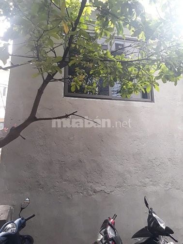 Cho thuê nhà kết hợp Văn phòng 