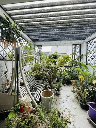 HẠ 500TR GẤP BÁN- HOÀNG HOA THÁM, P5, PN- 80m2- 4 TẦNG- CHỈ 9,x TỶ