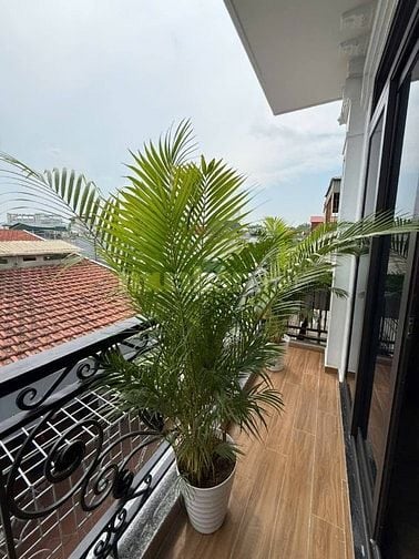 BÁN NHÀ 6 TẦNG THANG MÁY LỖ GÓC  ĐƯỜNG HOÀNG HOA THÁM 37M2