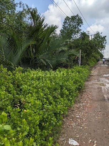 Hùng Vương, Vành đai 3 Nhơn Trạch 
