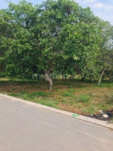 ĐẤT NỀN FULL THỔ CƯ DƯỚI CHÂN NÚI CHỨA CHAN XUÂN LỘC ĐỒNG NAI