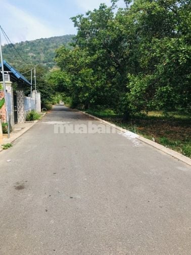 ĐẤT NỀN FULL THỔ CƯ DƯỚI CHÂN NÚI CHỨA CHAN XUÂN LỘC ĐỒNG NAI