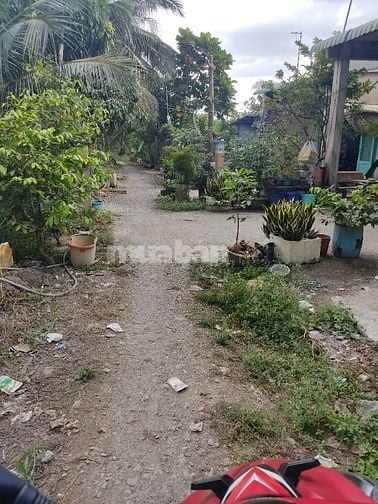 Nhà cấp 4 125m2 ấp 1B xã Hựu Thạnh, SHR giá tốt!