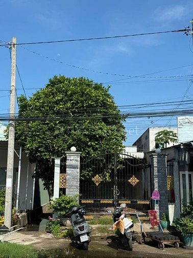 FLEX NHẸ NHÀ MẶT TIỀN DT 832 TRUNG TÂM LONG AN 240M2 BỰ CHÀ BÁ LỬA 