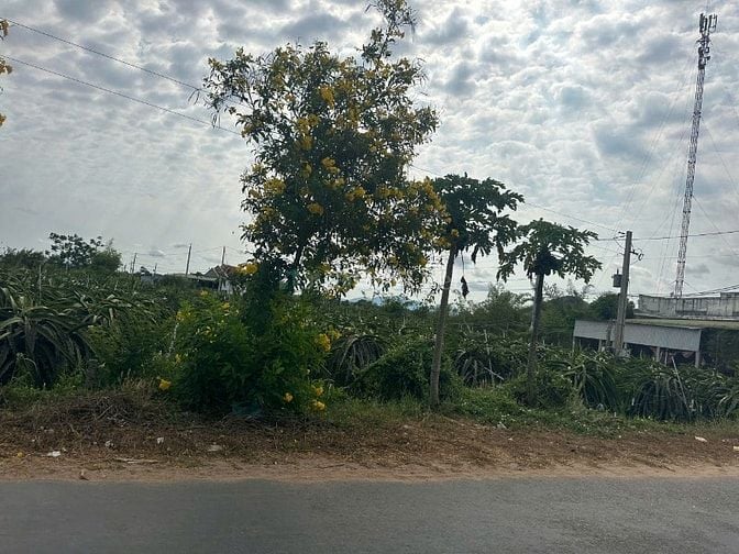 Siêu Phẩm Đất Biển LaGi Cực Hiếm Giá Siêu Rẻ Full Thổ Cư