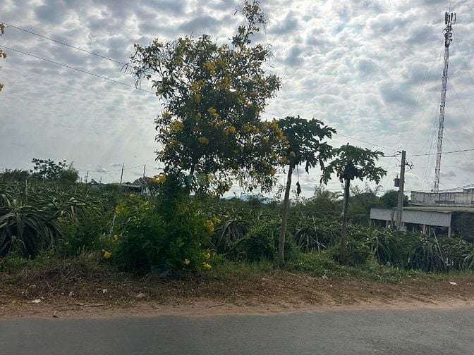 Siêu Phẩm Đất Biển LaGi Cực Hiếm Giá Siêu Rẻ Full Thổ Cư