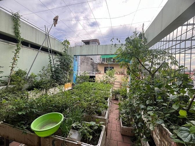 Bán nhà 70m phân lô Hồ Đền Lừ, oto tránh, 5 tầng, KD đỉnh, 26.7 tỷ