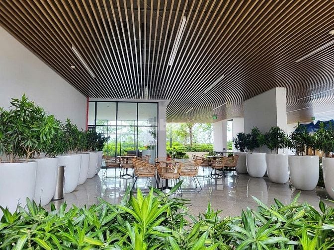 💥BÁN GẤP CH 2PN Opal Skyline – có sẵn nội thất, tầng cao, view đẹp