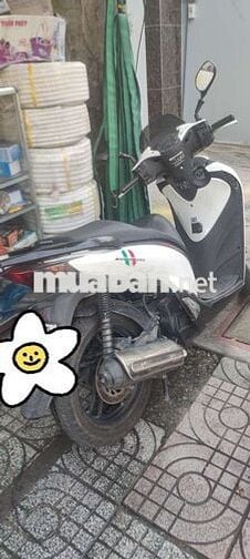 Đổi dàn áo xe SH VN 2016