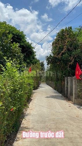 480tr rước ngay lô đất 112m2 có 80m2 thổ cư tại xã Châu Đức, TPHCM