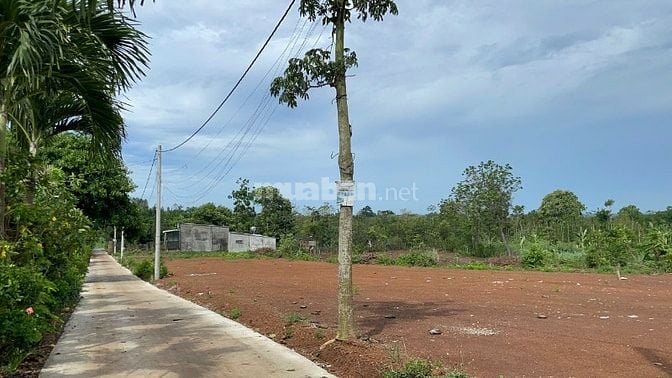 480tr rước ngay lô đất 112m2 có 80m2 thổ cư tại xã Châu Đức, TPHCM