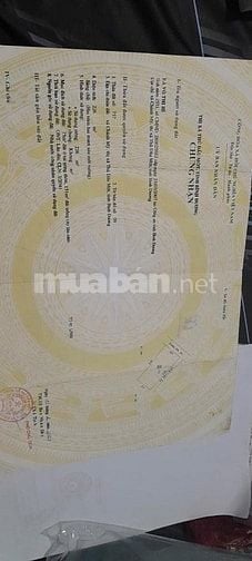 Đất Chánh Mỹ : 10 x 22 hiện đang có thu nhâp 10tr/thang. 0815422197