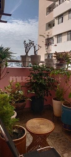 Chính chủ bán căn hộ Screc Towet