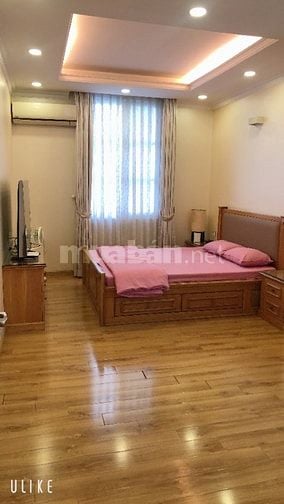 Cho thuê Biệt Thự VIP  Mỹ Văn -Phú mỹ hưng giá 90 triệu