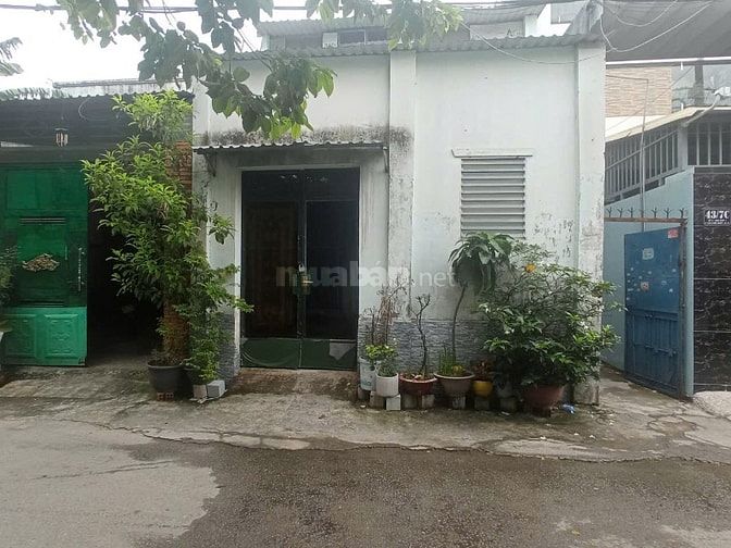 Bán nhà đất đang ở và cho thuê