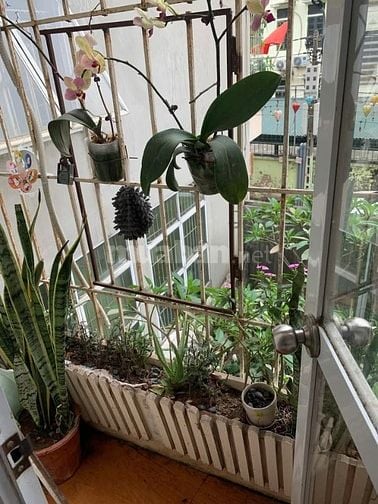 Chính chủ bán Căn hộ tại cc mini. Diện tích: 33m² ở La phù- Hoài Đức