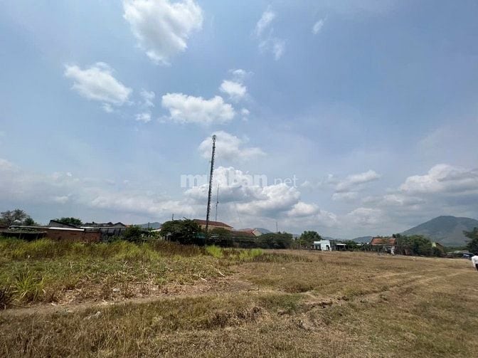 BÁN ĐẤT MẶT TIỀN QL26 ĐÃ CÓ 3000m2 THỔ CƯ/ DIỆN TÍCH gần 15.000m2