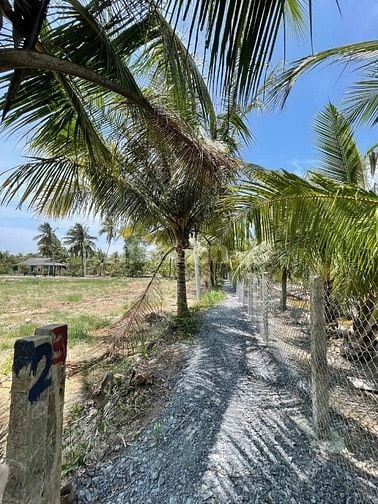 Vừa giảm giá chỉ còn 234 triệu, DT 570m2 ngoại ô SG chỉ 75km, gần chợ 