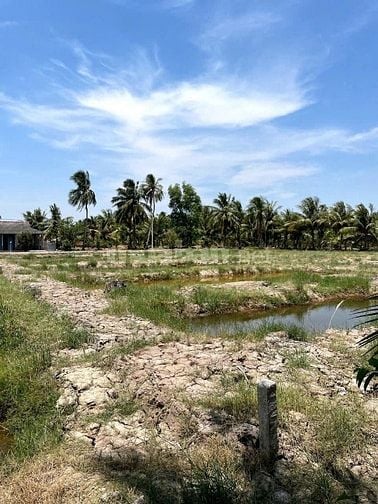 Vừa giảm giá chỉ còn 234 triệu, DT 570m2 ngoại ô SG chỉ 75km, gần chợ 