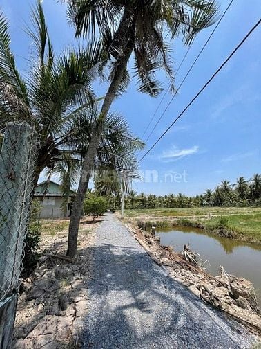Vừa giảm giá chỉ còn 234 triệu, DT 570m2 ngoại ô SG chỉ 75km, gần chợ 
