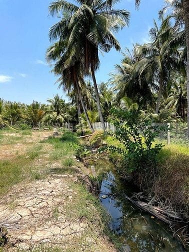 Vừa giảm giá chỉ còn 234 triệu, DT 570m2 ngoại ô SG chỉ 75km, gần chợ 