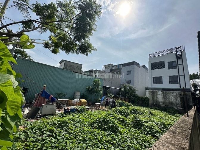 (Phát Mại) MT Đào Sư Tích (10x20) gần cầu Phước Lộc