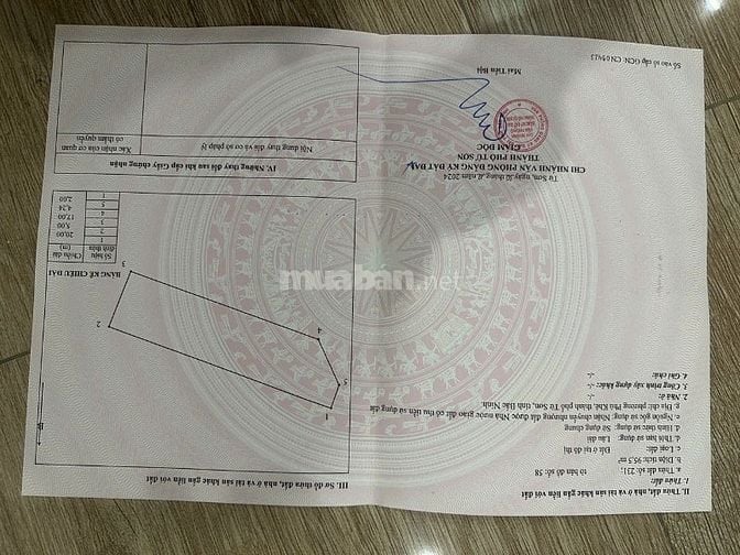 BÁN LÔ GÓC TRỤC ĐƯỜNG LIÊN TỈNH SÁT ĐÔNG ANH HÀ NỘI