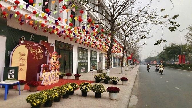 Ra mắt shophouse giáp Đông Anh HN