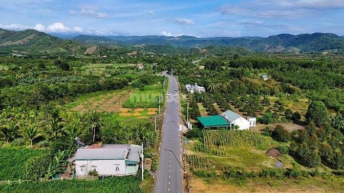TIỀM NĂNG SINH LỢI CAO – MẶT TIỀN KINH DOANH GIÁ CHỈ TỪ 279 TRIỆU