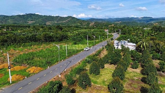 TIỀM NĂNG SINH LỢI CAO – MẶT TIỀN KINH DOANH GIÁ CHỈ TỪ 279 TRIỆU