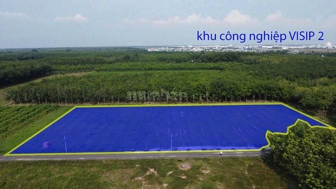 Đất Bến Cát: 340m2 thổ cư 60m2. đường nhựa. sát kcn đầu tư 
