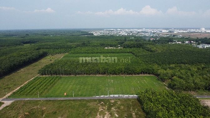 Đất Bến Cát: 340m2 thổ cư 60m2. đường nhựa. sát kcn đầu tư 