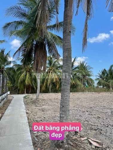 160tr đất vườn sẵn thổ cư cách SG chỉ 70km tại Tân Phú Đông,Tiền Giang