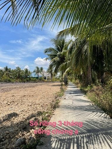 160tr đất vườn sẵn thổ cư cách SG chỉ 70km tại Tân Phú Đông,Tiền Giang