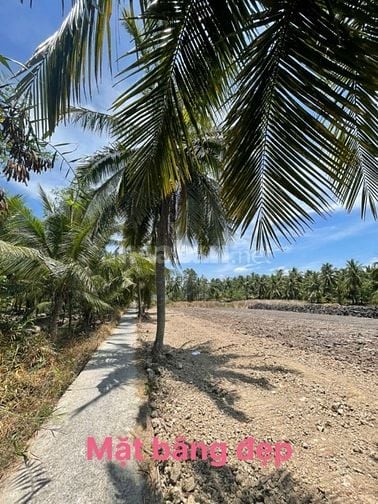 160tr đất vườn sẵn thổ cư cách SG chỉ 70km tại Tân Phú Đông,Tiền Giang