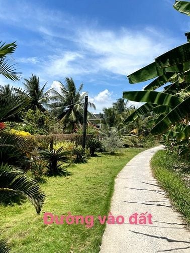 160tr đất vườn sẵn thổ cư cách SG chỉ 70km tại Tân Phú Đông,Tiền Giang