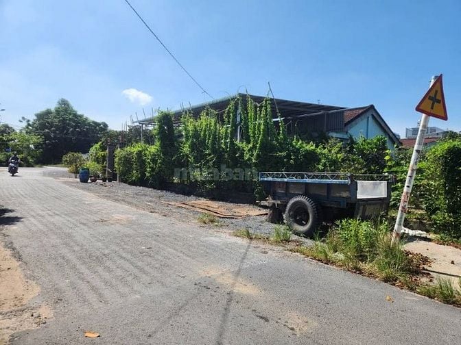 CHỦ GỬI BÁN LÔ ĐẤT -125M2 GIÁ 550TR -Đ.LIÊU BÌNH HƯƠNG TÂN THÔNG HỘI 