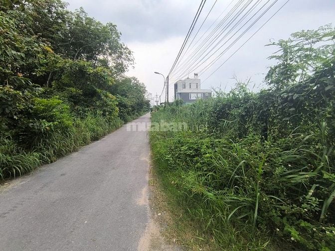 Cho thuê đất làm kho, nhà xưởng 1350m2, 11 triệu VND tại Đường 130, Củ