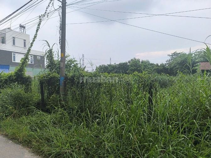 Cho thuê đất làm kho, nhà xưởng 1350m2, 11 triệu VND tại Đường 130, Củ