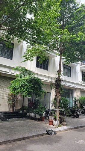  Dự án Dreamland 107 Xuân La. DT 101m2 x 5T, Mt 5m. Thang Máy. 