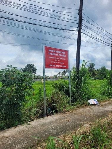 CTY ĐẤU GIÁ HỢP DANH TRỰC TUYẾN VIỆT NAM (VNOA) TỔ CHỨC ĐẤU GIÁ