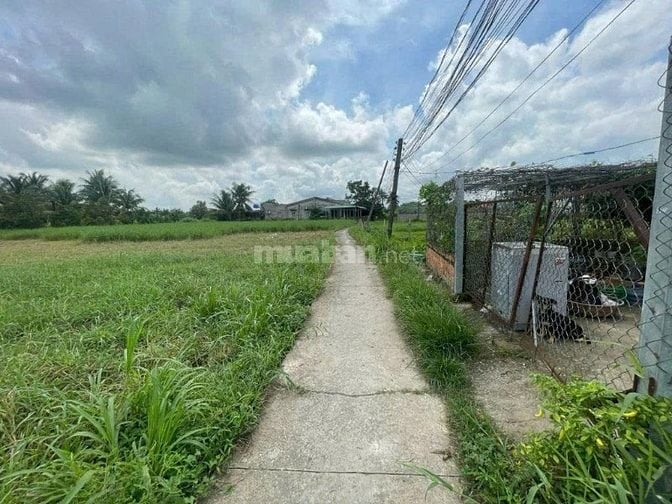 CTY ĐẤU GIÁ HỢP DANH TRỰC TUYẾN VIỆT NAM (VNOA) TỔ CHỨC ĐẤU GIÁ