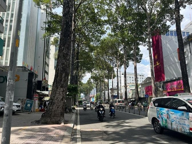 CHO THUÊ TÒA NHÀ MT 10*20 ,ĐƯỜNG NTMK , P.NCT , Q1 : DTSD 1200m2 