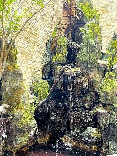 Cho thuê nhà chính chủ , hẻm xe hơi , yên tỉnh , thoáng mát