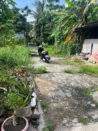 Bán lô đất nền gần tp vĩnh long 