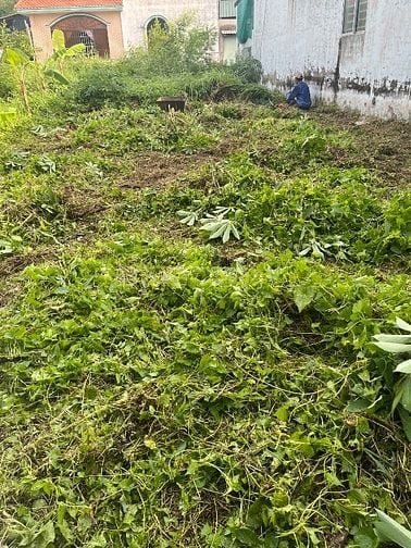 Bán lô đất nền gần tp vĩnh long 